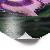 11"x14"デイリリー フォトプリント            (角)