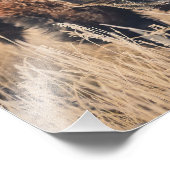 11 x 14 Print - Frosty Morning フォトプリント (角)