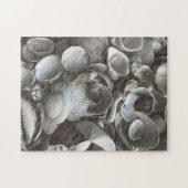 11x14シェルパズル（色覚異常者用） ジグソーパズル (横)