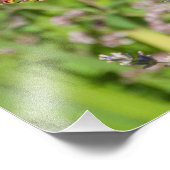 11X14ハミングバード愛好家の喜び フォトプリント            (角)