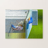 11x14パズルに入り込んでいる020ブルーバード252部分 ジグソーパズル (横)
