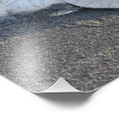 11X14砂ドルのトリオ フォトプリント            (角)