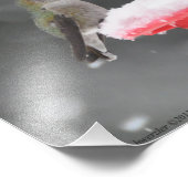 11X14雪の中のアンナのハミングバード フォトプリント (角)