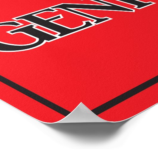 11x16 Geniusポスター ポスター (角)