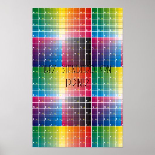 11x17プリント ポスター (正面)