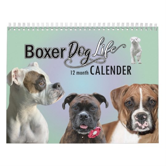 12か月のボクサー犬の生活カレンダー カレンダー Zazzle Co Jp