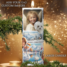 12おもしろいクリスマスフォトコラージュ