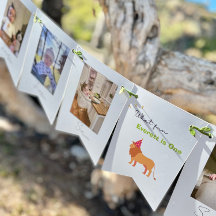 12か月の誕生日フォトバンティングバナー