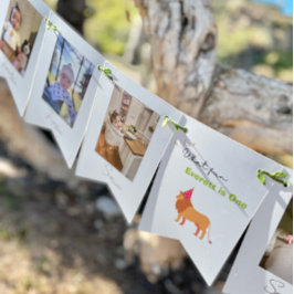 12か月の誕生日フォトバンティングバナー バンティングフラッグ