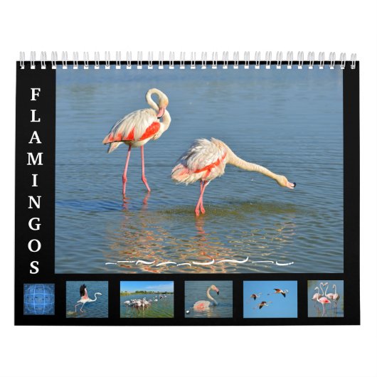 12か月カレンダーFlamingos カレンダー (カバー)