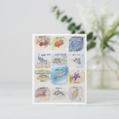 12の海の生物 シーズンカード (スタンド正面)