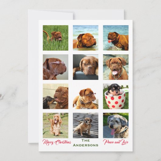 12イメージ信じられないほどのクリスマスファミリーコラージュ 招待状 (正面)