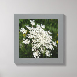 12インチx 12インチホワイトクイーンアンのレース写真 キャンバスプリント