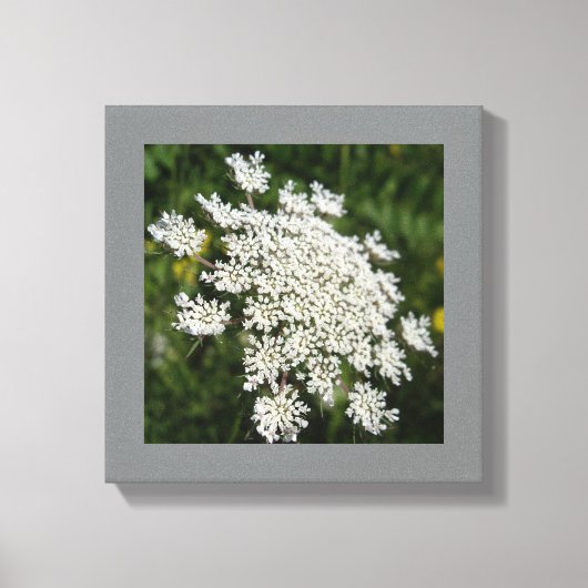 12インチx 12インチホワイトクイーンアンのレース写真 キャンバスプリント (正面)