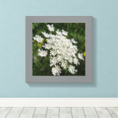 12インチx 12インチホワイトクイーンアンのレース写真 キャンバスプリント (インサイチュ (ウッドフロア))