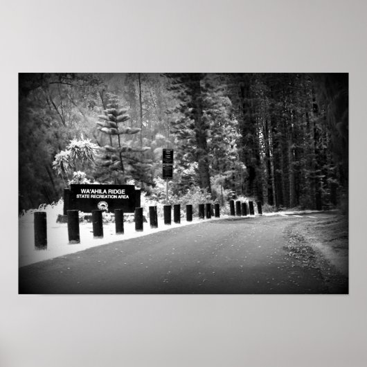 12インチx 18インチポスタープリント – ワアヒラリッジ ポスター (正面)