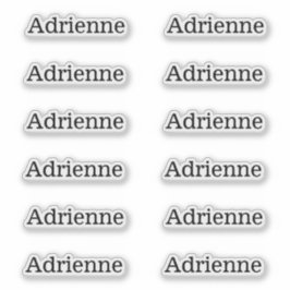 12シンプル文字のセリフ名ラベルセットカスタム12 シール