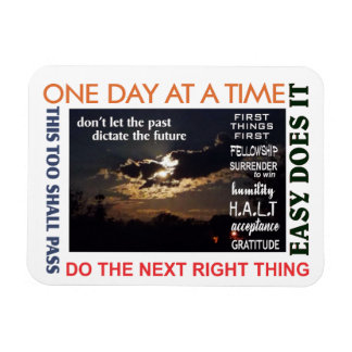 12ステップ回収過去磁石25 マグネット