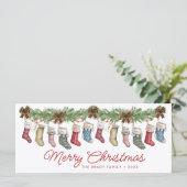 12ファミリー |孫 |大規模なファミリストッキング (スタンド正面)