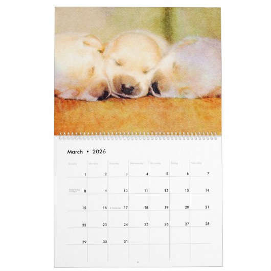 12ヶ月かわいいパグ犬ペット水の色アートギフト カレンダー (3月 2026)