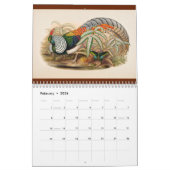 12ヶ月のアジア鳥：フェアサンツ2017 カレンダー (2月 2026)