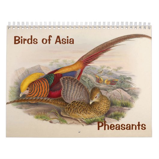 12ヶ月のアジア鳥：フェアサンツ2017 カレンダー (カバー)