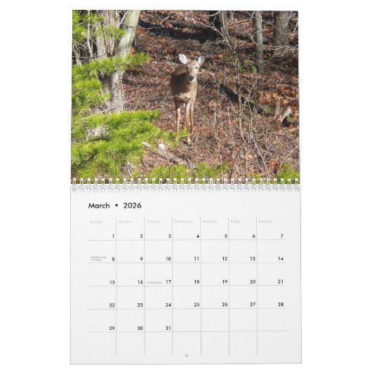 12ヶ月の動物と野生動物の写真 カレンダー (3月 2026)