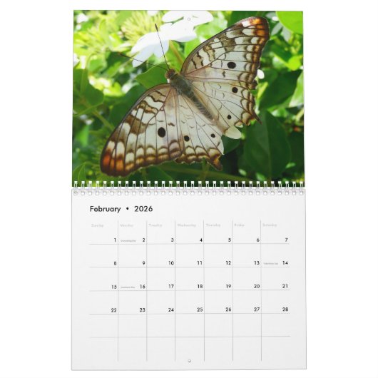 12ヶ月の動物と野生動物の写真 カレンダー (2月 2026)