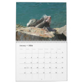 12ヶ月の動物と野生動物の写真 カレンダー (1月 2026)