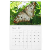 12ヶ月の動物と野生動物の写真 カレンダー (2月 2027)