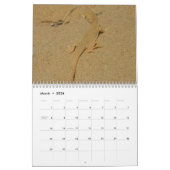 12ヶ月の動物と野生動物の写真 カレンダー (3月 2026)