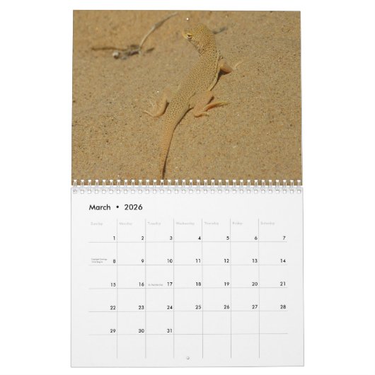 12ヶ月の動物と野生動物の写真 カレンダー (3月 2026)