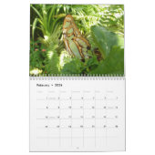 12ヶ月の動物と野生動物の写真 カレンダー (2月 2026)