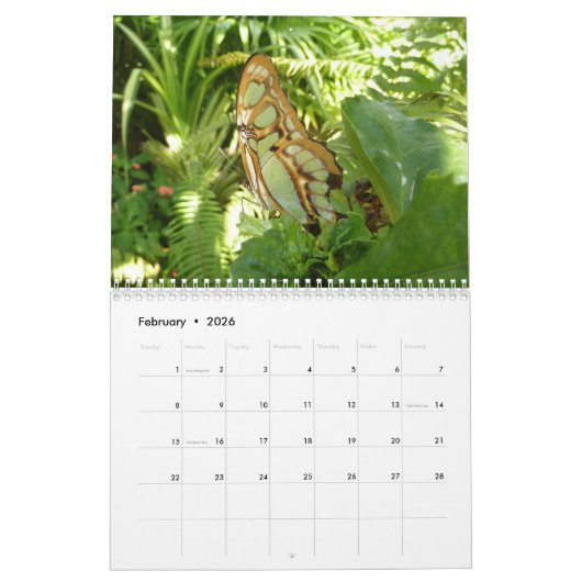 12ヶ月の動物と野生動物の写真 カレンダー (2月 2026)