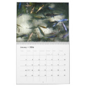 12ヶ月の動物と野生動物の写真 カレンダー (1月 2026)