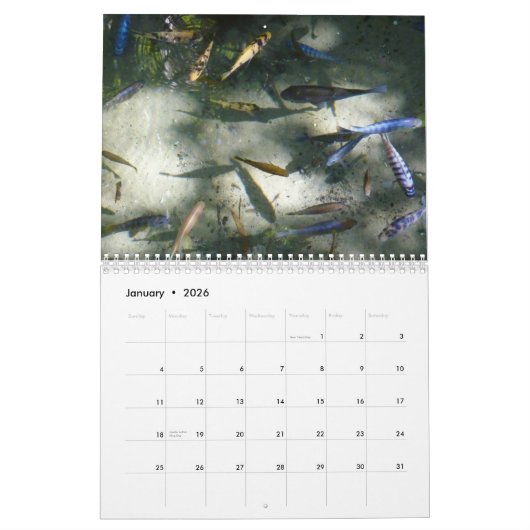 12ヶ月の動物と野生動物の写真 カレンダー (1月 2026)