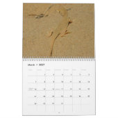 12ヶ月の動物と野生動物の写真 カレンダー (3月 2027)