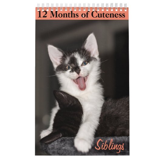 12ヶ月の可愛らしさ子猫兄弟姉妹 カレンダー (カバー)