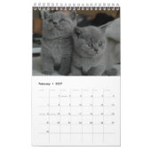 12ヶ月の可愛らしさ子猫兄弟姉妹 カレンダー (2月 2027)