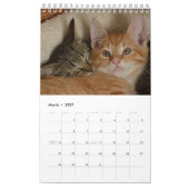 12ヶ月の可愛らしさ子猫兄弟姉妹 カレンダー (3月 2027)