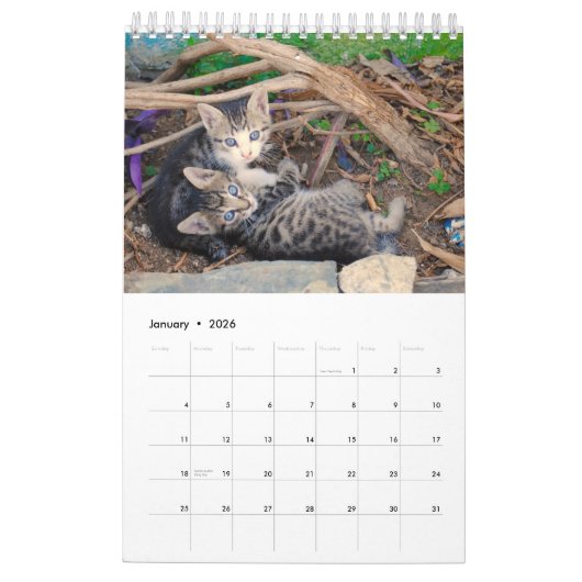 12ヶ月の可愛らしさ子猫兄弟姉妹 カレンダー (1月 2026)