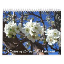 12ヶ月の季節の写真10回目