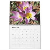 12ヶ月の季節の写真13号版 カレンダー (3月 2026)