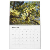 12ヶ月の季節の写真、第11版 カレンダー (3月 2026)