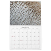12ヶ月の抽象芸術撮影、第6版 カレンダー (3月 2026)