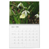 12ヶ月の美しい蝶 カレンダー (3月 2026)