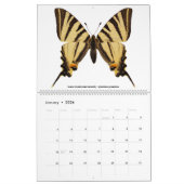 12ヶ月カレンダー様々な蝶 カレンダー (1月 2026)
