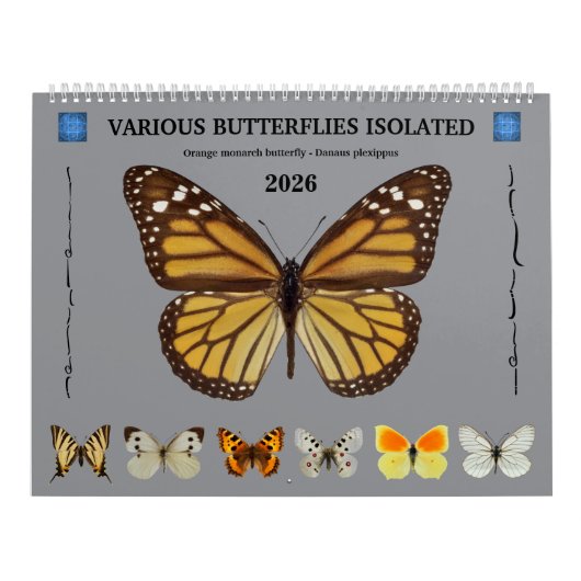 12ヶ月カレンダー様々な蝶 カレンダー (カバー)