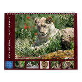 12ヶ月カレンダー獅子家 カレンダー (カバー)