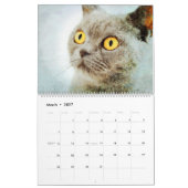 12ヶ月素晴らしビルマ猫の水彩画 カレンダー (3月 2027)
